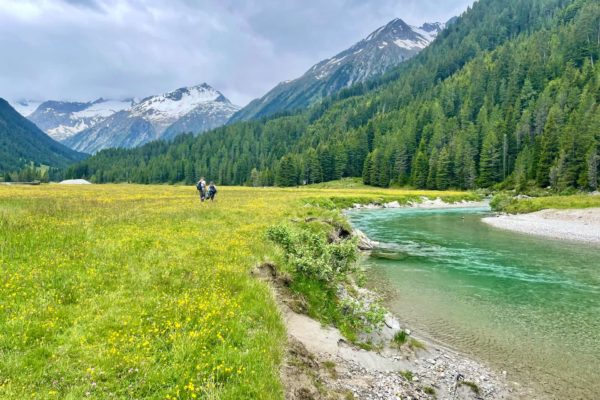 Hoiz Alm Angeln Urlaub Mittersill Fliegenfischen Krimmler Ache