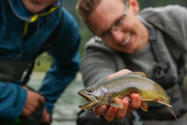 Hoiz Alm Angeln Urlaub Mittersill Fliegenfischen Krimmler Ache