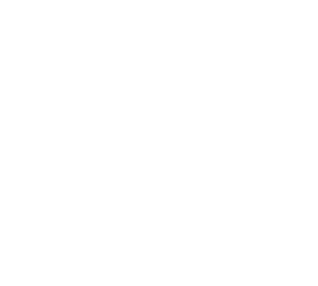 Hoiz Alm